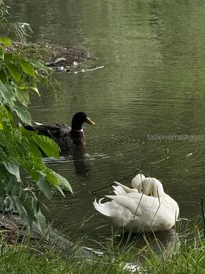 Fallenemoangel OnlyFans Leaked Free Thumbnail Picture - #PTqt0ED2IY