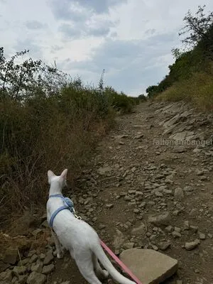 Fallenemoangel OnlyFans Leaked Free Thumbnail Picture - #X14BCrtIEb