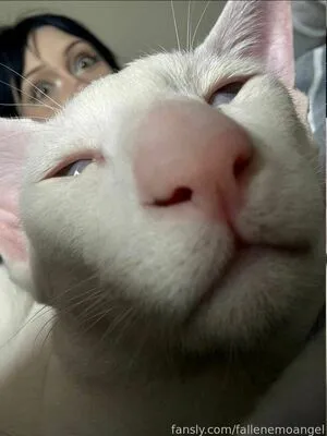 Fallenemoangel OnlyFans Leaked Free Thumbnail Picture - #hwrBvXz9Vz