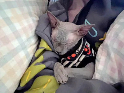 Fallenshadow OnlyFans Leaked Free Thumbnail Picture - #AZZGr8RNkb