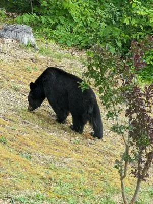 Fallon Jane OnlyFans Leaked Free Thumbnail Picture - #dM9iE8CWYM