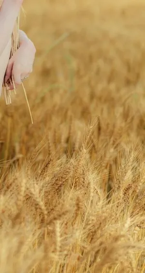 Fantasy Factory OnlyFans Leaked Free Thumbnail Picture - #gzN6pVlDtB