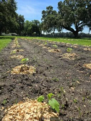 Farmdaddyjay OnlyFans Leaked Free Thumbnail Picture - #U5jACwPPA4