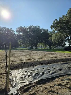 Farmdaddyjay OnlyFans Leaked Free Thumbnail Picture - #cHqsmTKOsq