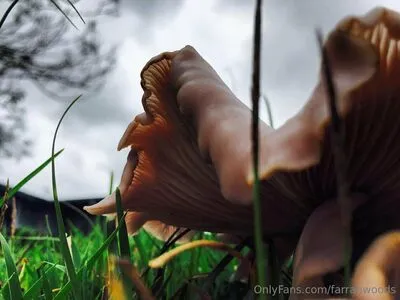 Farrahfahrenhite OnlyFans Leaked Free Thumbnail Picture - #CrsliiXyvf