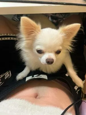 Fasoollka OnlyFans Leaked Free Thumbnail Picture - #XQAT9m9oUc