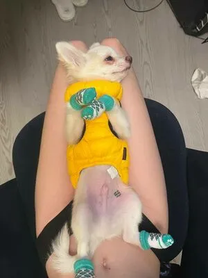 Fasoollka OnlyFans Leaked Free Thumbnail Picture - #aaqJ5e58WW