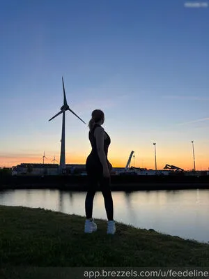 Feedeline OnlyFans Leaked Free Thumbnail Picture - #Fzjl2tWu69