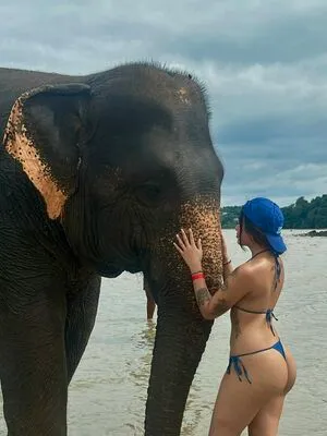 Feibei OnlyFans Leaked Free Thumbnail Picture - #FXwh20hlgk