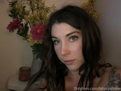 Felicityfeline OnlyFans Leaked Free Thumbnail Picture - #0hDHiRIISp