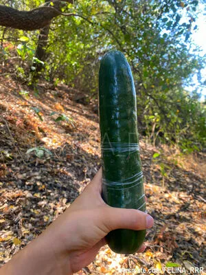 Felina Rrr OnlyFans Leaked Free Thumbnail Picture - #Cg8L99mKJu