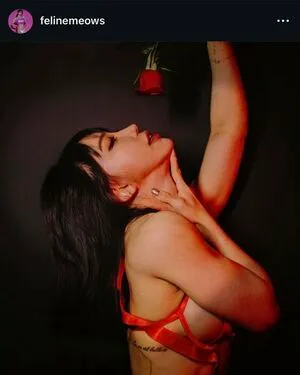 Felinemeows OnlyFans Leaked Free Thumbnail Picture - #yFGuXNm3cA