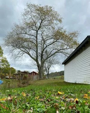 Fierceified OnlyFans Leaked Free Thumbnail Picture - #8bACrIpxSQ