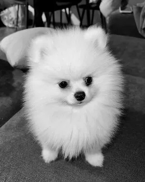 Filipa Gonalves OnlyFans Leaked Free Thumbnail Picture - #0kucNp4Lu9