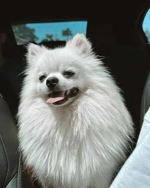 Filipa Gonalves OnlyFans Leaked Free Thumbnail Picture - #1fQ0yBCkdi