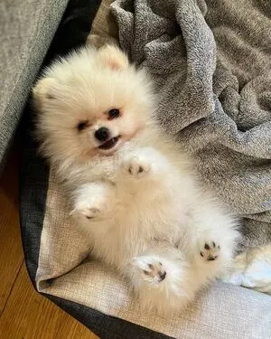 Filipa Gonalves OnlyFans Leaked Free Thumbnail Picture - #93DdCFZwh1