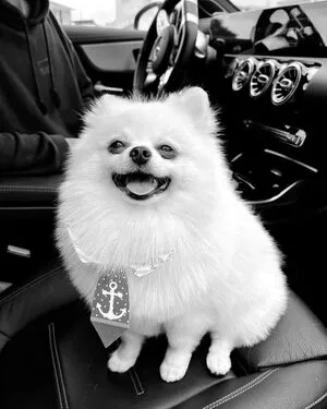 Filipa Gonalves OnlyFans Leaked Free Thumbnail Picture - #nsfodez8s6