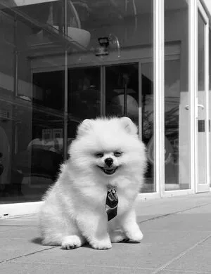 Filipa Gonalves OnlyFans Leaked Free Thumbnail Picture - #nvguFytlqh