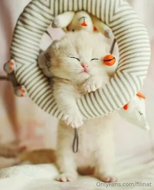 Fillnat OnlyFans Leaked Free Thumbnail Picture - #N5gShsjXJQ