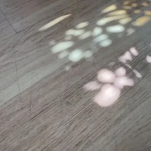 Fionajordnn OnlyFans Leaked Free Thumbnail Picture - #CAdaXz2qFK