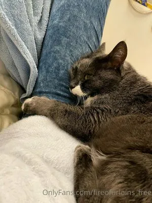 Fireofurloins Lana OnlyFans Leaked Free Thumbnail Picture - #jXCVhih7iU