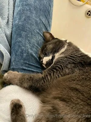 Fireofurloins Lana OnlyFans Leaked Free Thumbnail Picture - #zGuM9KtbYt