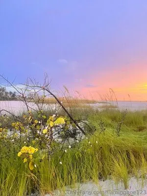 Flaminghoe123 OnlyFans Leaked Free Thumbnail Picture - #HGYdPTPkKF