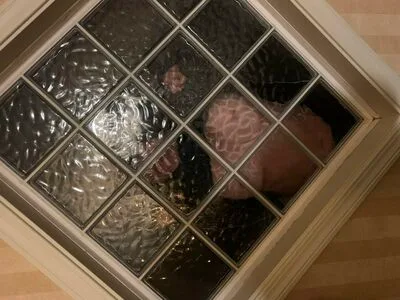Flat Chests OnlyFans Leaked Free Thumbnail Picture - #Mprv3n0T1i