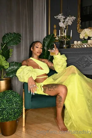 Flyyytattedsky OnlyFans Leaked Free Thumbnail Picture - #OS489rJyRN