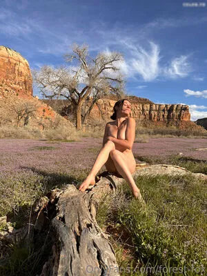 Forest Fox OnlyFans Leaked Free Thumbnail Picture - #jCQL4JHlnd