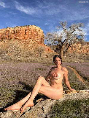 Forest Fox OnlyFans Leaked Free Thumbnail Picture - #qiZGWdtb63