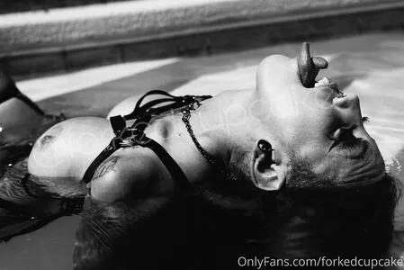 Forked Cupcake OnlyFans Leaked Free Thumbnail Picture - #yyxXFIB62Q