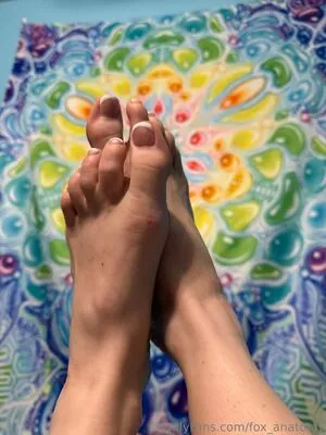 Fox Anatomy OnlyFans Leaked Free Thumbnail Picture - #yexeXYkii0