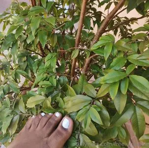 Free Una Noir OnlyFans Leaked Free Thumbnail Picture - #swfWUxNF95