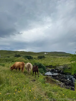 Freefrost OnlyFans Leaked Free Thumbnail Picture - #AVv8lzsePg