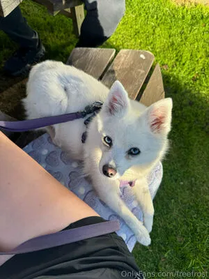 Freefrost OnlyFans Leaked Free Thumbnail Picture - #e7E9sGRUd1