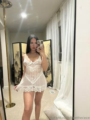 Freethecece OnlyFans Leaked Free Thumbnail Picture - #hrJ7e8gJwa