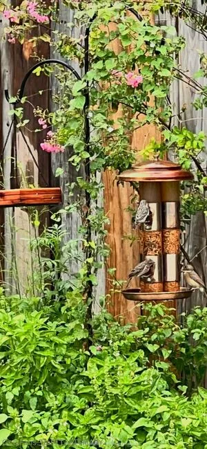 Fttbubbles OnlyFans Leaked Free Thumbnail Picture - #bZJzvL9O66