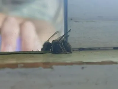 funsnail OnlyFans Leaked Free Thumbnail Picture - #EyGUg1cwKL