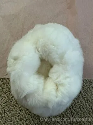 Furcoatlove OnlyFans Leaked Free Thumbnail Picture - #LuZ7esnA7r