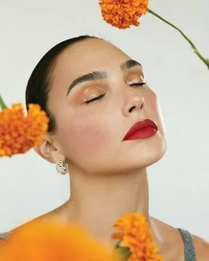 gal_gadot OnlyFans Leaked Free Thumbnail Picture - #oh9gi3BB3A