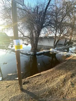 Gaptoothgirl OnlyFans Leaked Free Thumbnail Picture - #6IH2Q33uMs