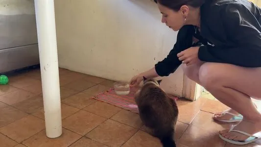 Gaucha Asmr OnlyFans Leaked Free Thumbnail Picture - #x3ZwLktc1T