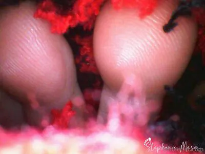 Giantessmason OnlyFans Leaked Free Thumbnail Picture - #OPY1AKWoOg