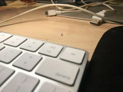 Giantgodqueen OnlyFans Leaked Free Thumbnail Picture - #LC1kmchRFh