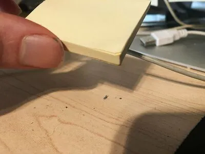 Giantgodqueen OnlyFans Leaked Free Thumbnail Picture - #OzlbPnHOjW