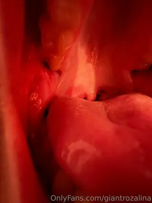 Giantrozalina OnlyFans Leaked Free Thumbnail Picture - #3QS6qGPNtm