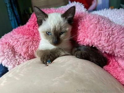 Gigglebox333 OnlyFans Leaked Free Thumbnail Picture - #UEumAnrRWZ