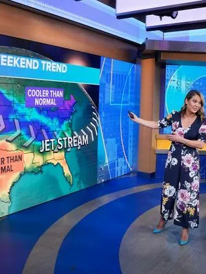 Ginger Zee OnlyFans Leaked Free Thumbnail Picture - #7gNa3sdL04