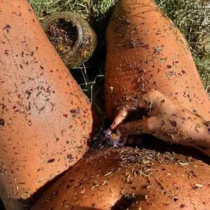 Gintong Bathala OnlyFans Leaked Free Thumbnail Picture - #tQI7rQseCL